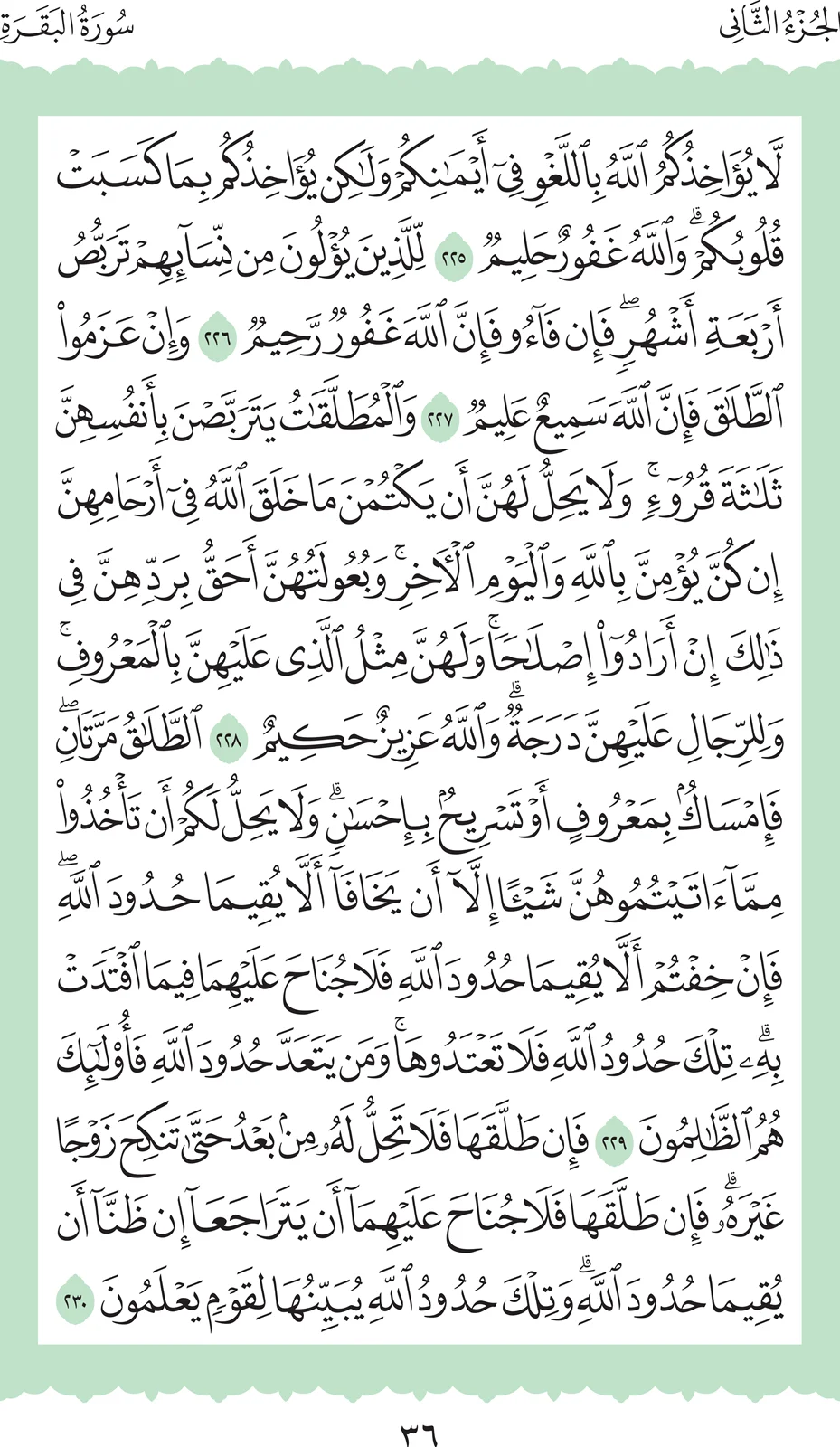 آيات من القرآن الكريم