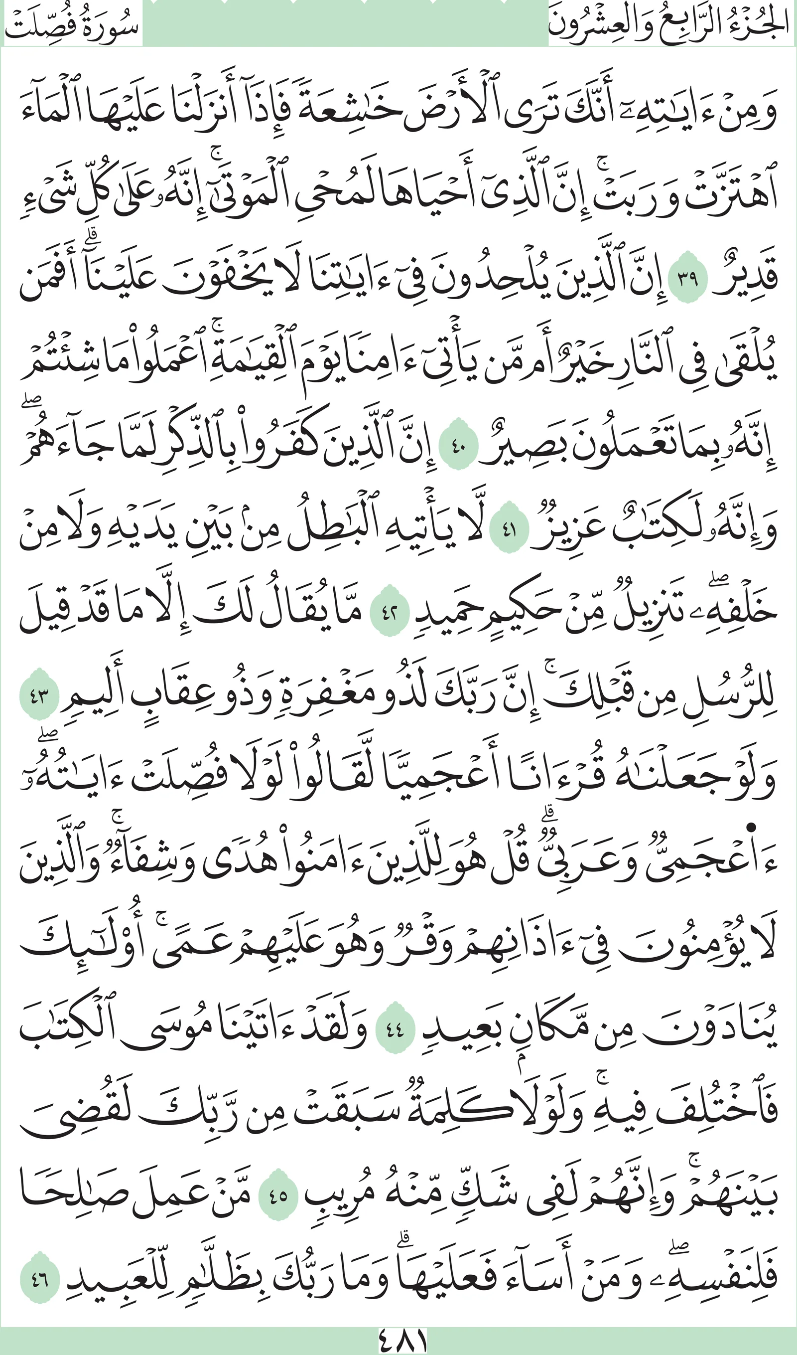 آيات من القرآن الكريم