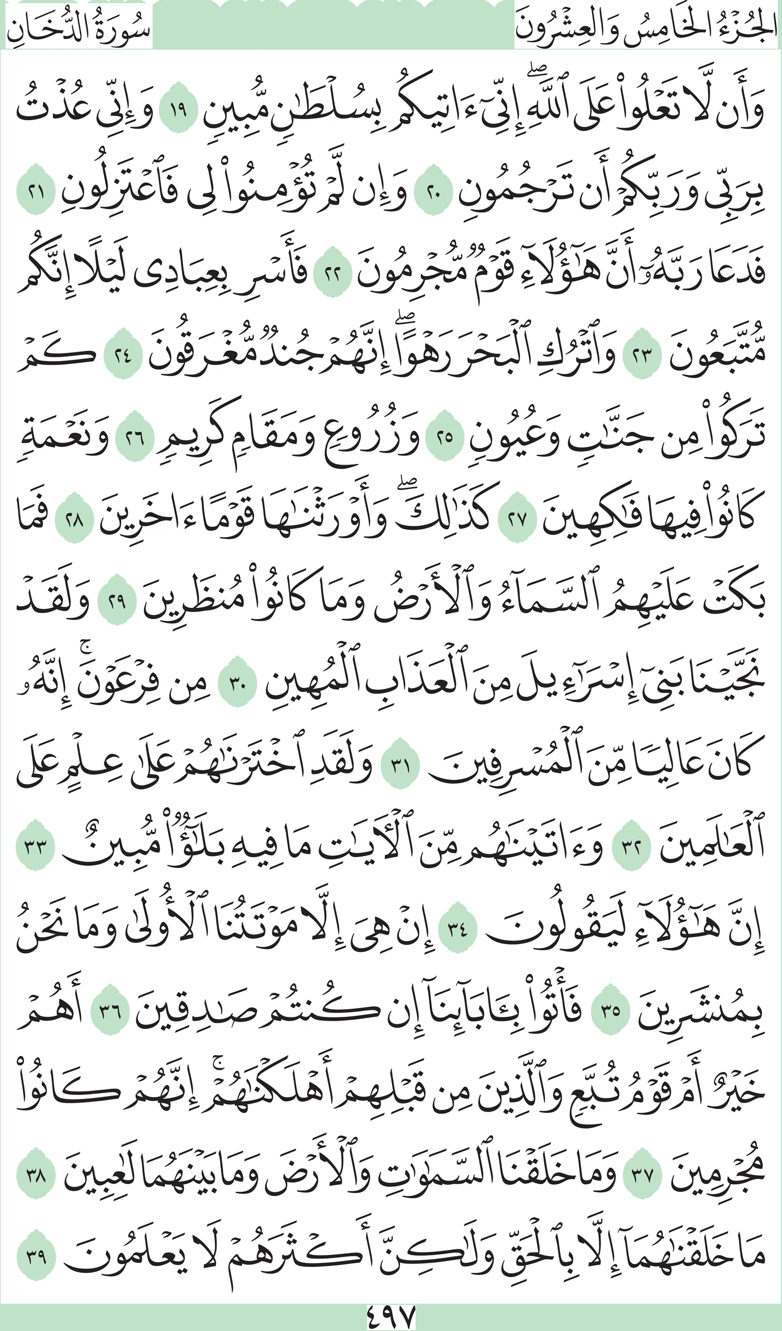 آيات من القرآن الكريم