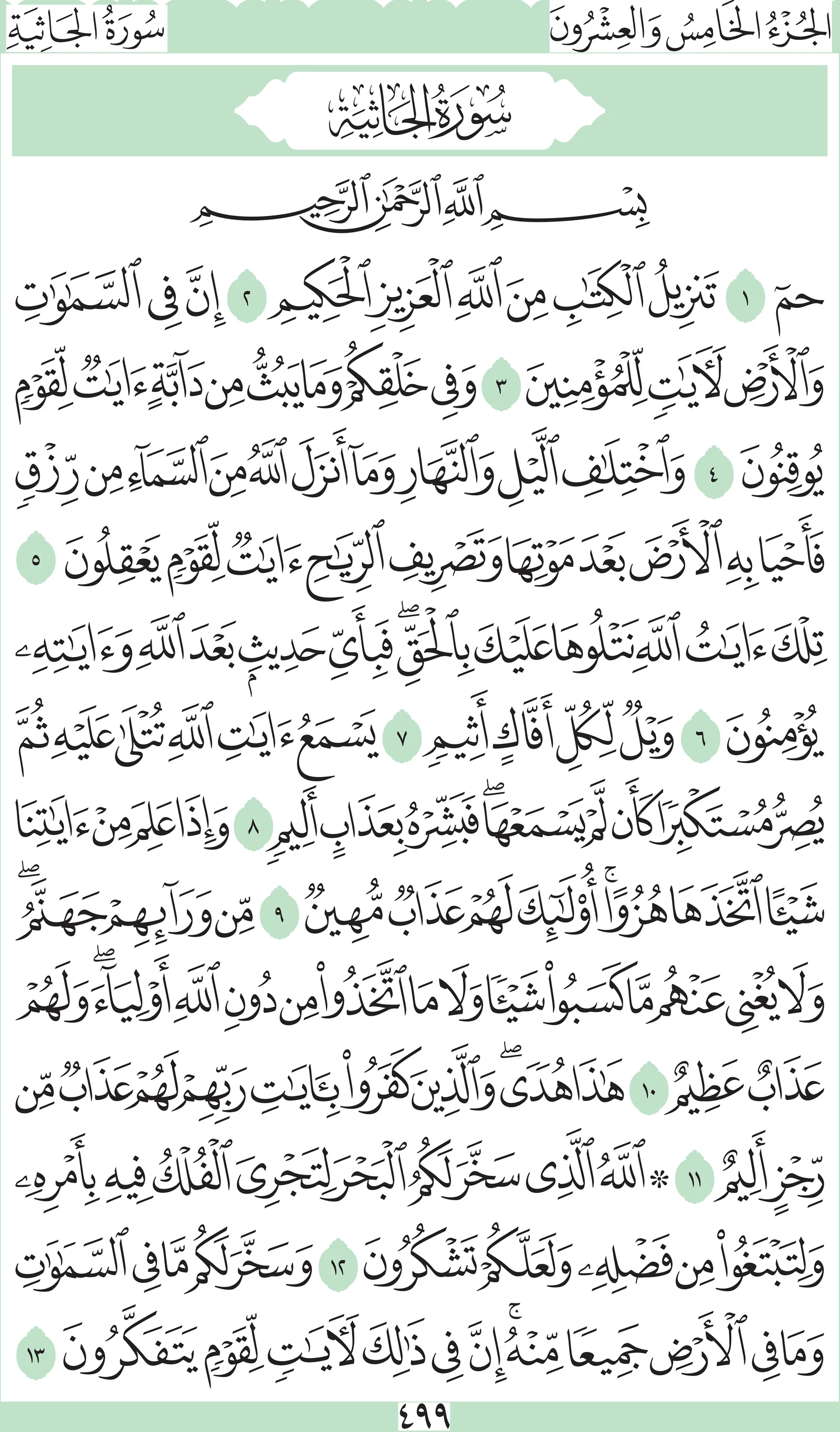 آيات من القرآن الكريم