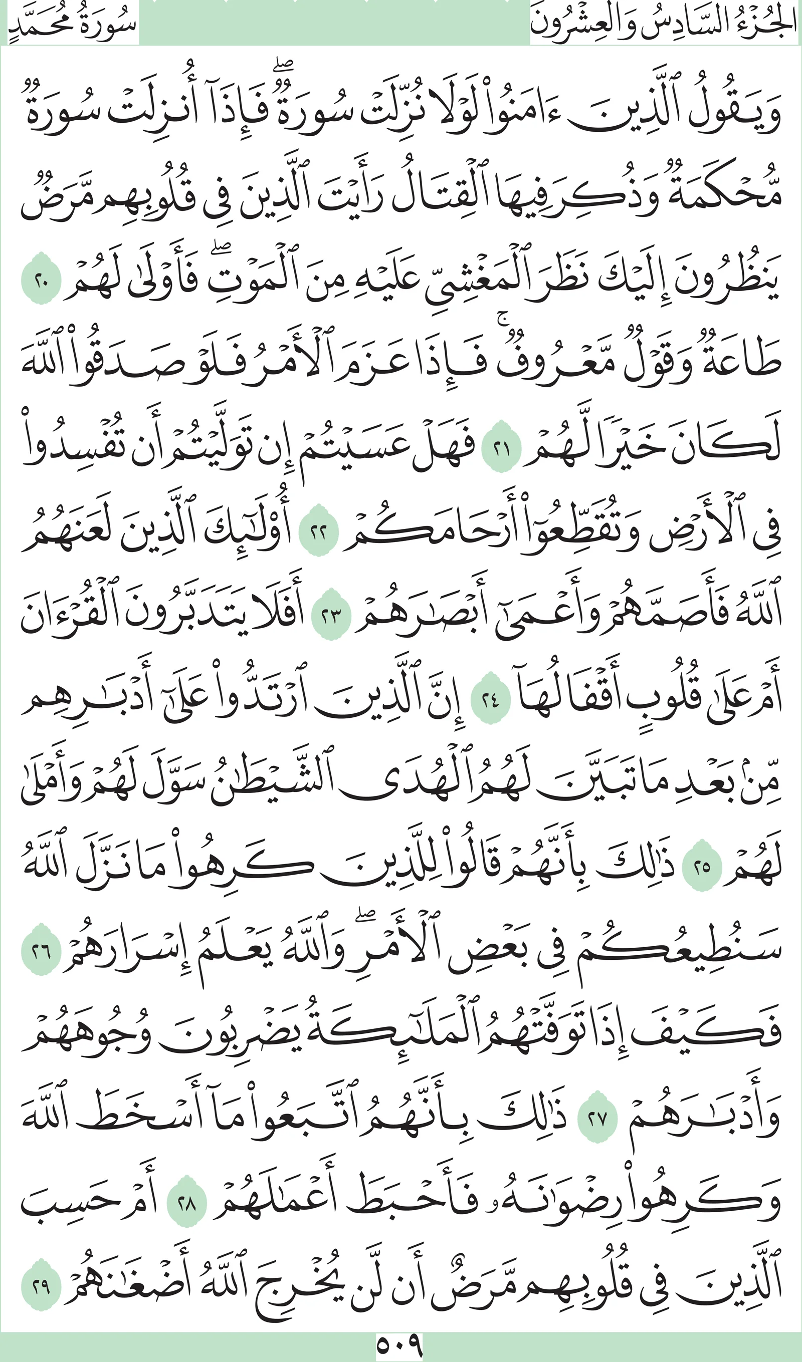 آيات من القرآن الكريم