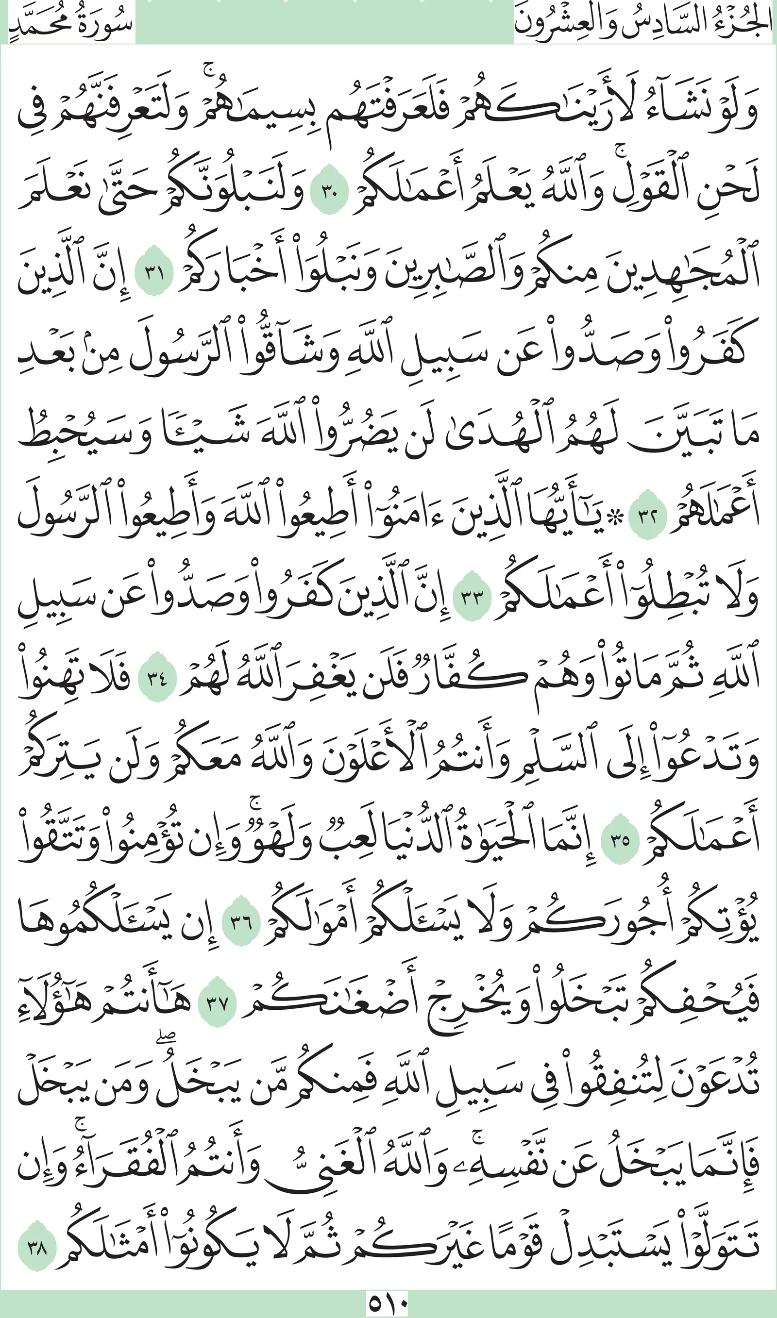 آيات من القرآن الكريم