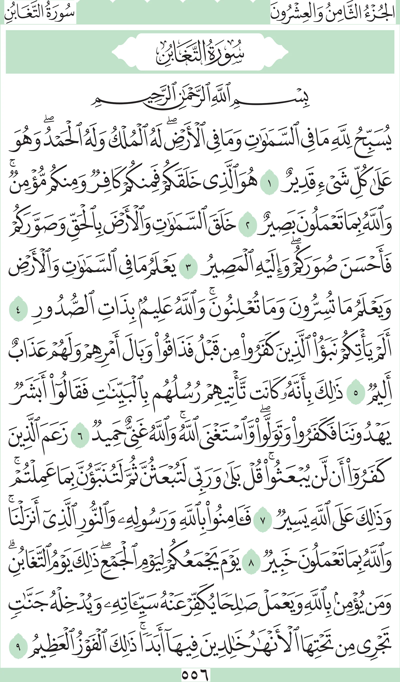 آيات من القرآن الكريم