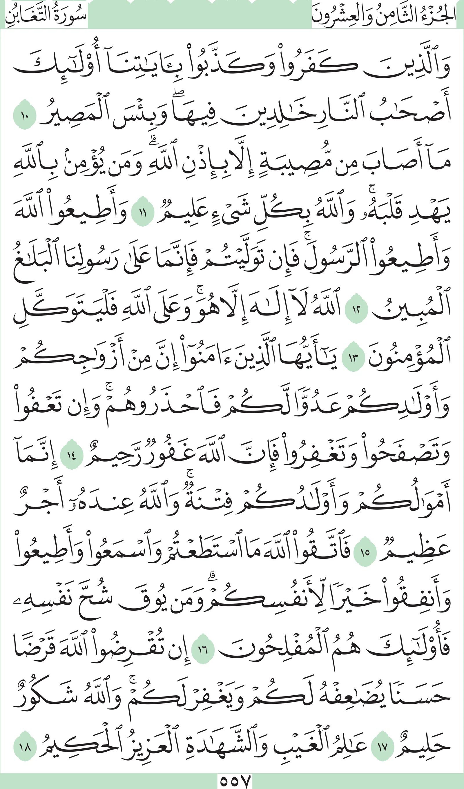 آيات من القرآن الكريم