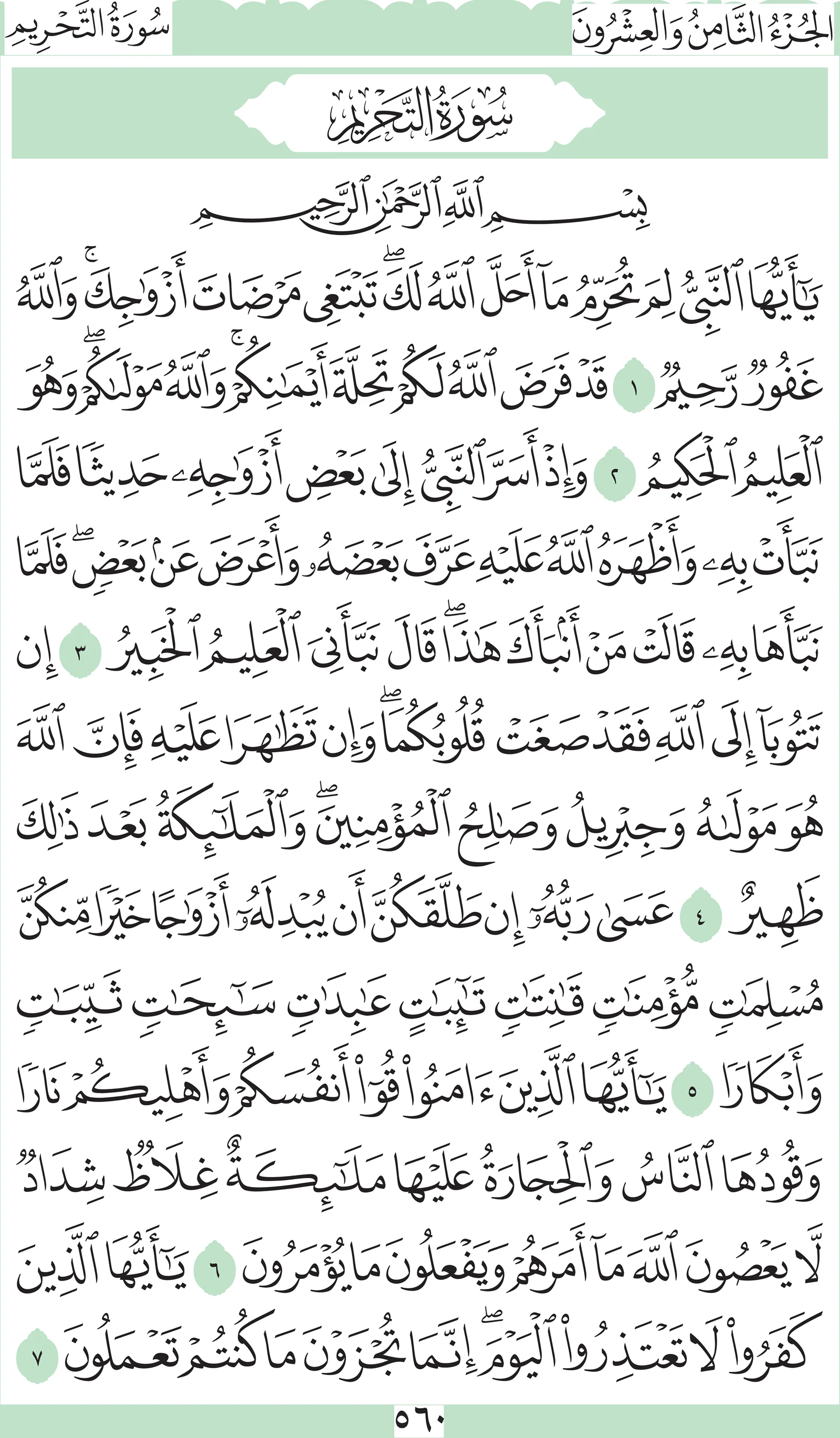 آيات من القرآن الكريم