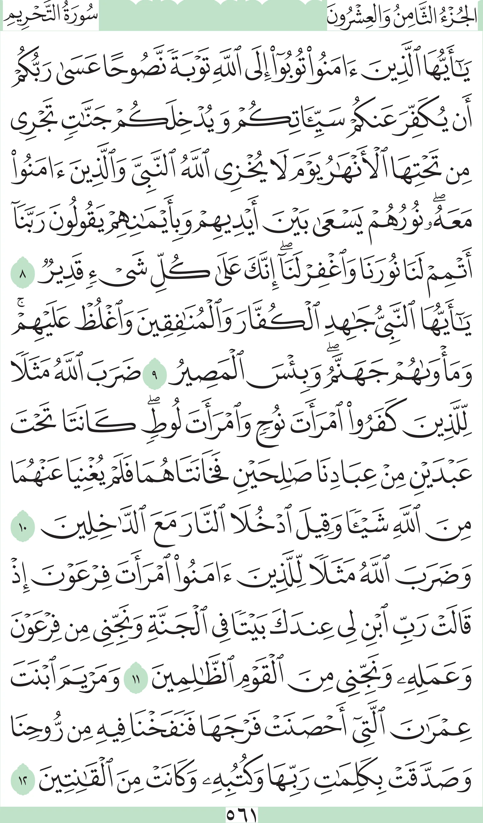 آيات من القرآن الكريم